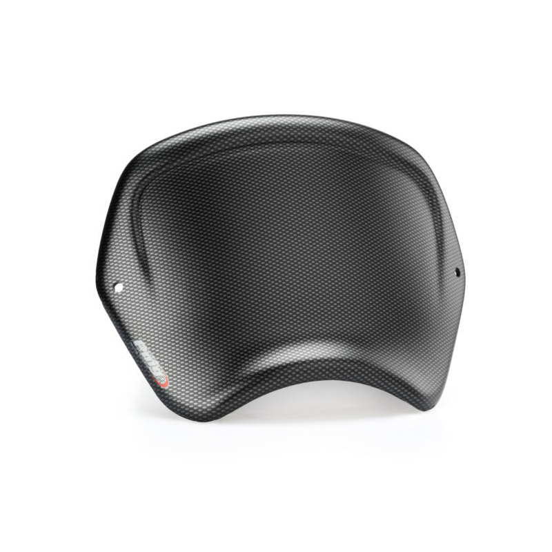 Placa frontal para BMW R NINE T SCRAMBLER 16-20